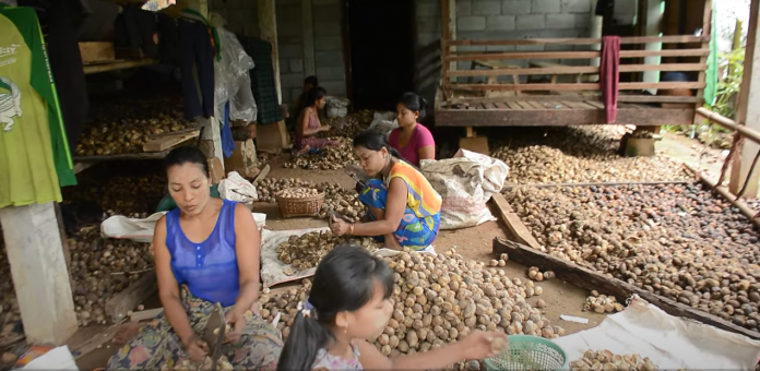 Screenshot-2023-09-27-132852