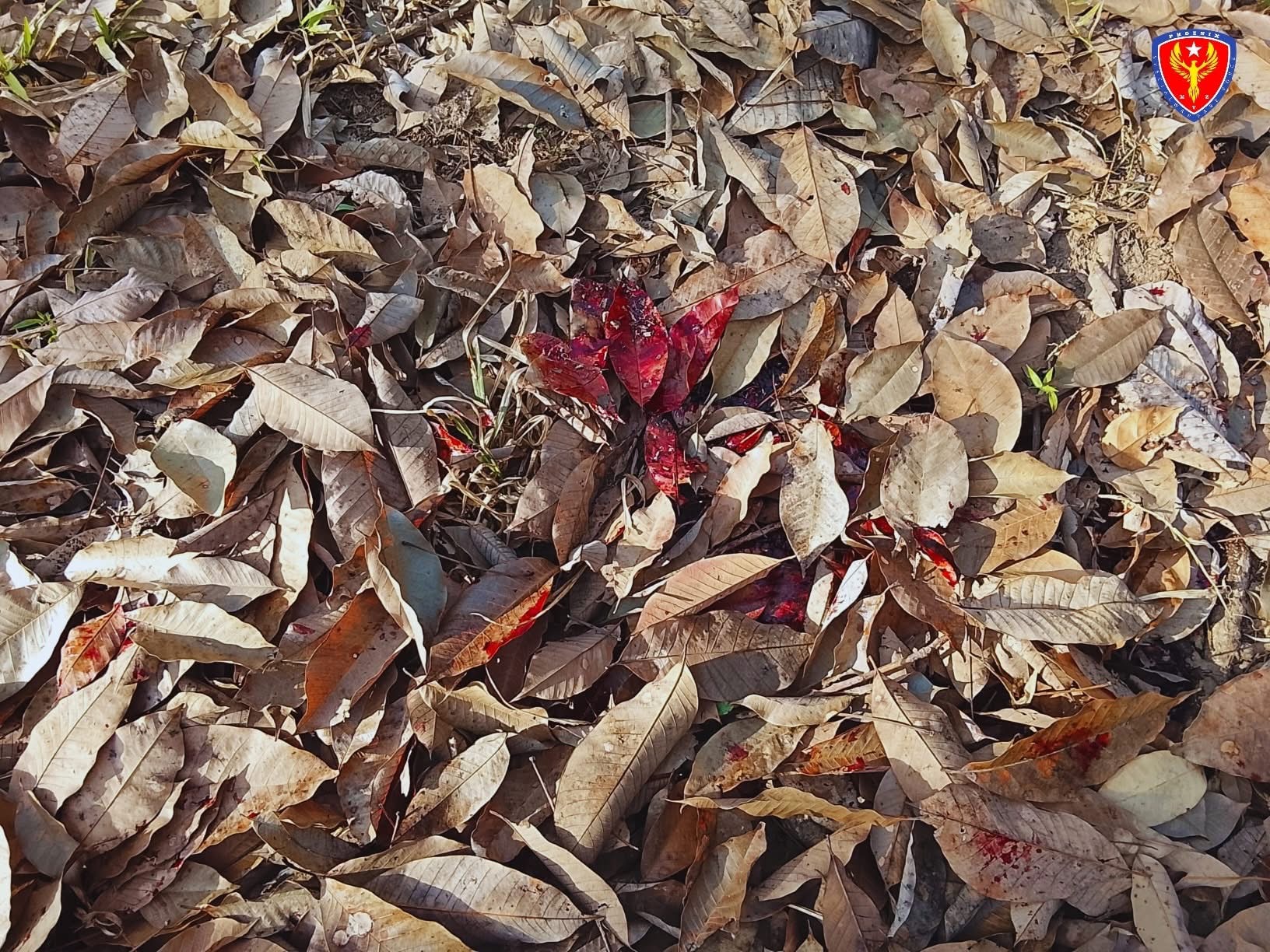 ကြာအင်းဆိပ်ကြီးတွင် ရာဘာခြစ်နေသူ ဒေသခံအမျိုးသမီးတစ်ဦးကို အနီးရှိစစ်ကော်မရှင်တပ်ရင်းမှ ပစ်ခတ်